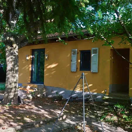 Biggi's Garten-finca Lägenhet Flonheim